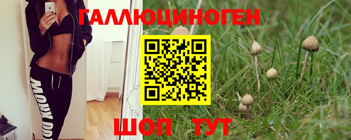Галлюциногенные грибы MAGIC MUSHROOMS Фурманов